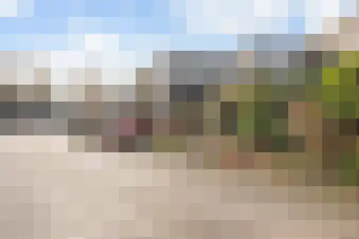 de Koppele 62 Eindhoven thumbnail 18