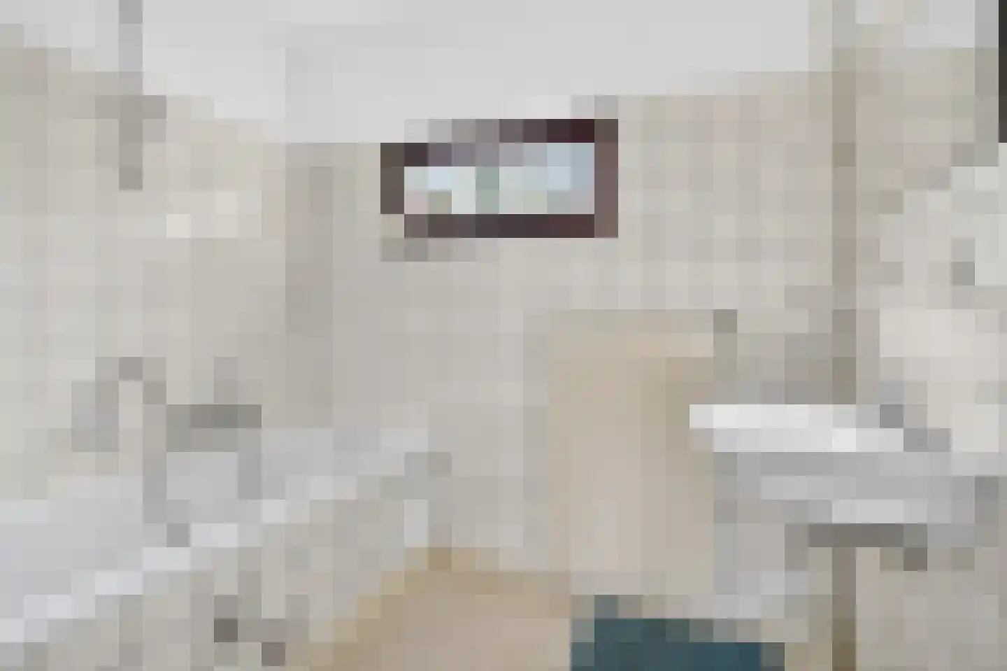 de Koppele 62 Eindhoven thumbnail 35