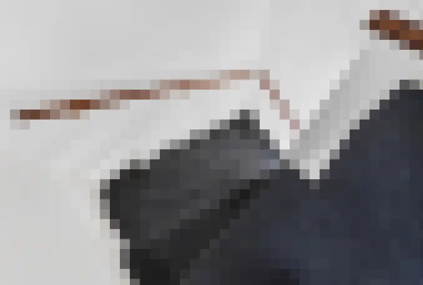 de Koppele 62 Eindhoven thumbnail 37
