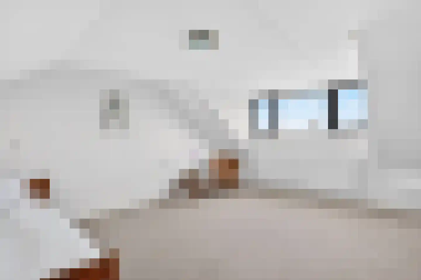 de Koppele 62 Eindhoven thumbnail 39