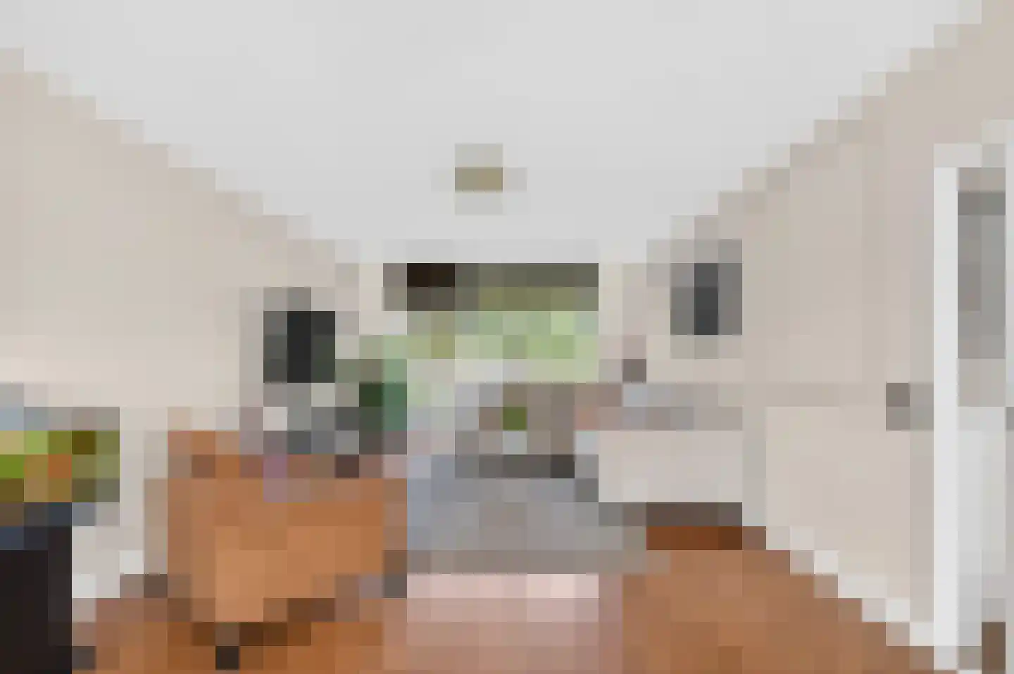 de Koppele 625 Eindhoven thumbnail 10