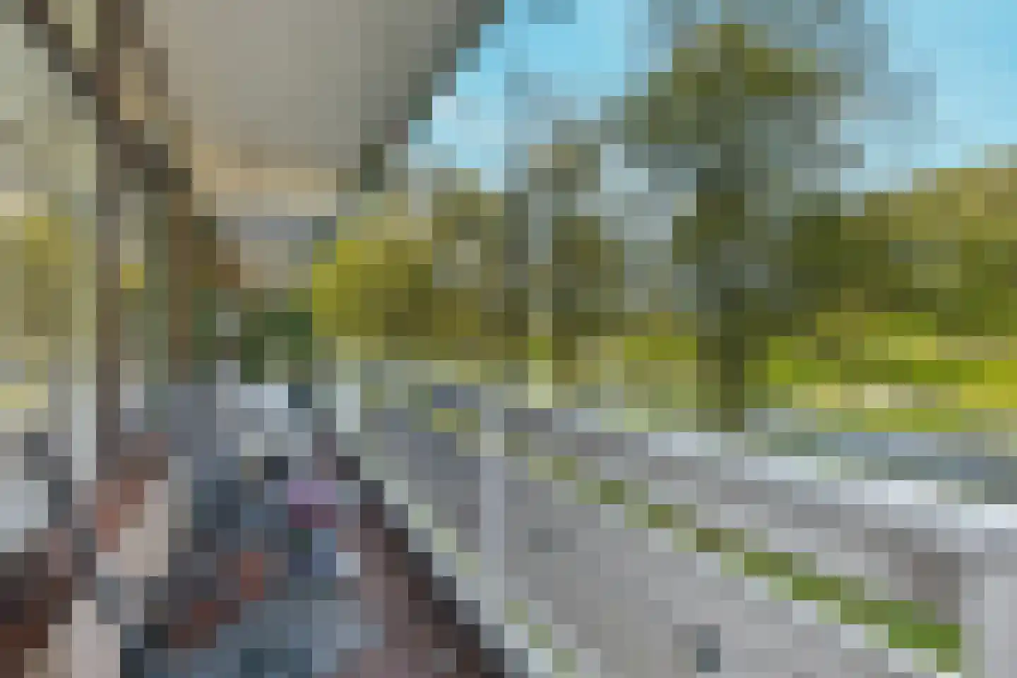 de Koppele 625 Eindhoven thumbnail 18