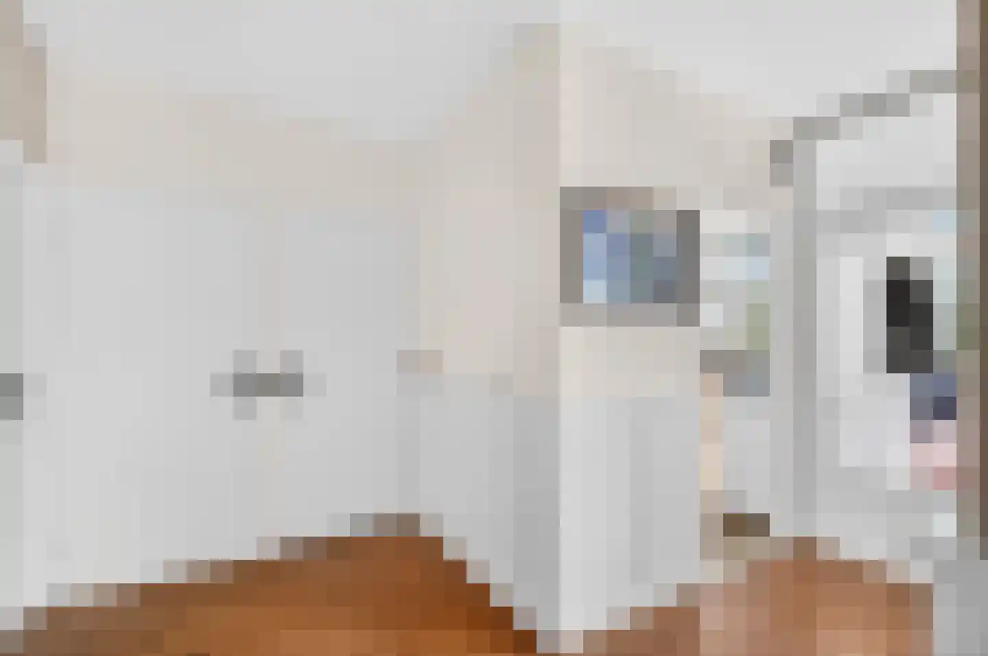 de Koppele 625 Eindhoven thumbnail 19