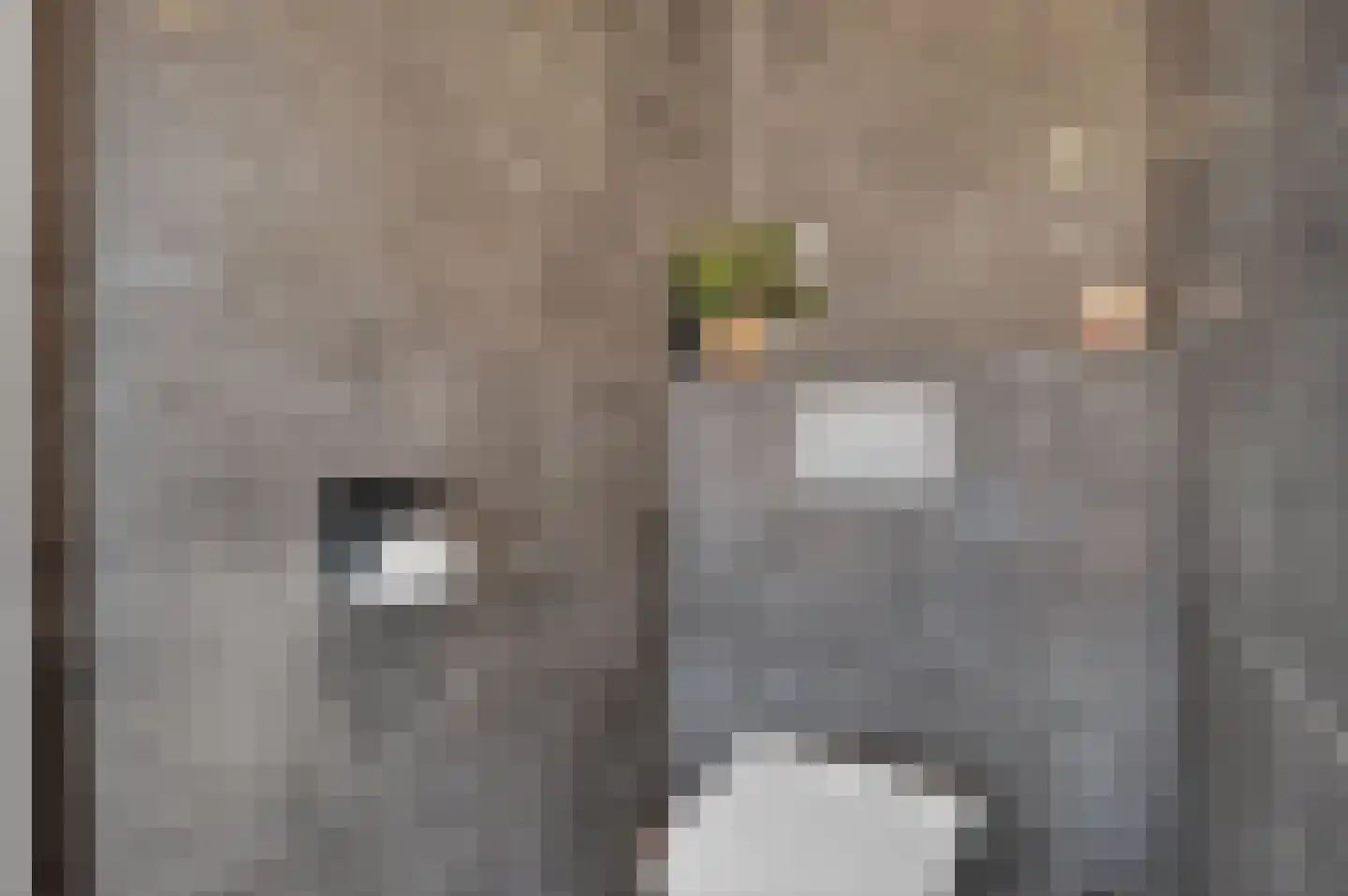 de Koppele 625 Eindhoven thumbnail 35