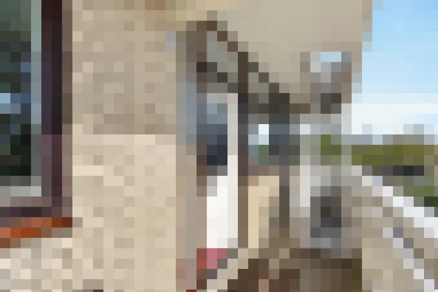 de Koppele 625 Eindhoven thumbnail 37