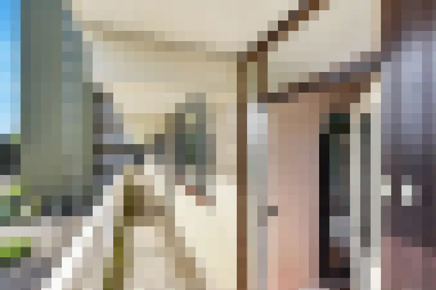 de Koppele 625 Eindhoven thumbnail 38