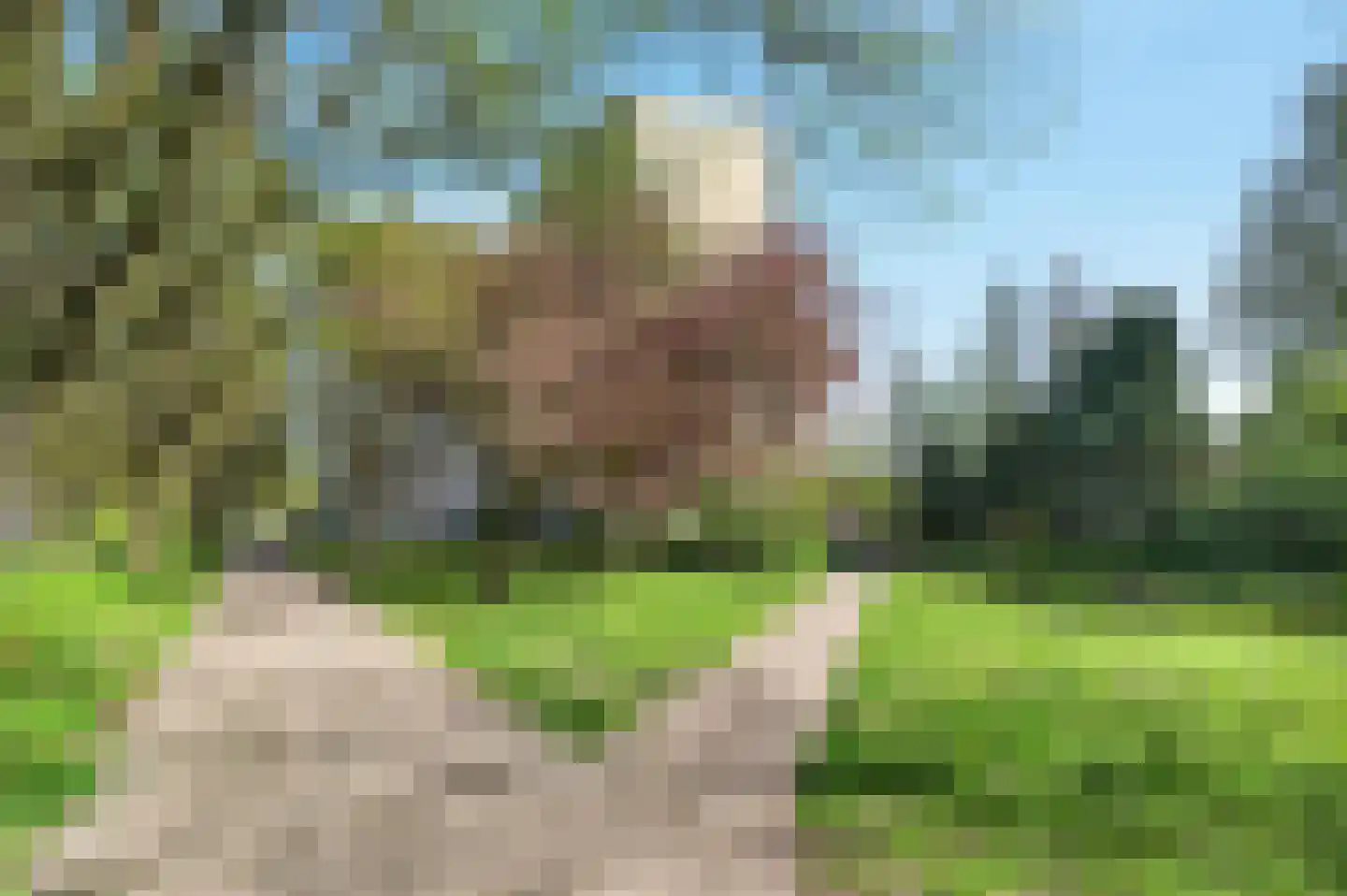 de Koppele 625 Eindhoven thumbnail 39