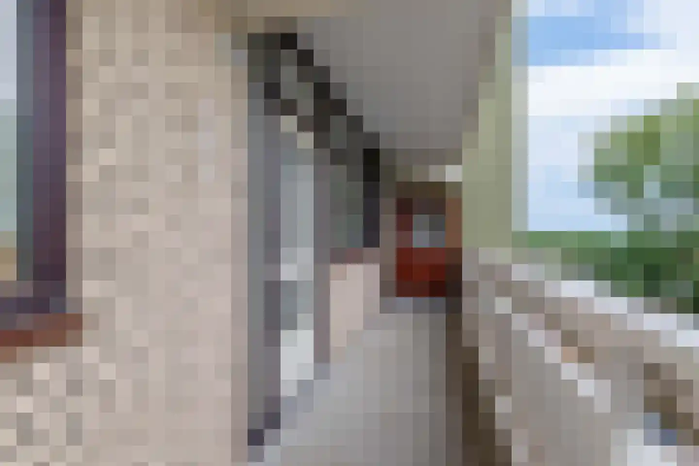 de Koppele 651 Eindhoven thumbnail 10