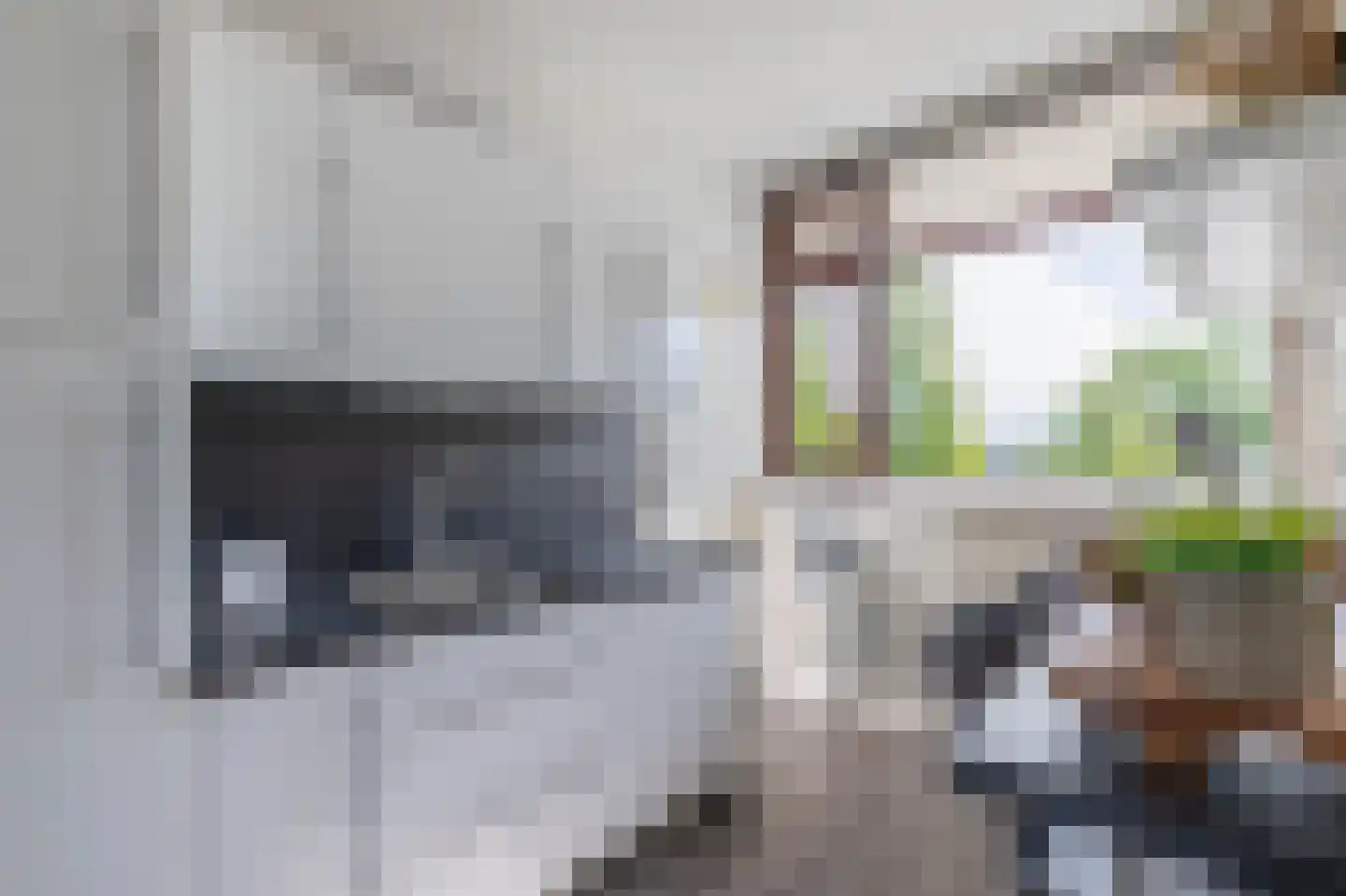 de Koppele 651 Eindhoven thumbnail 24