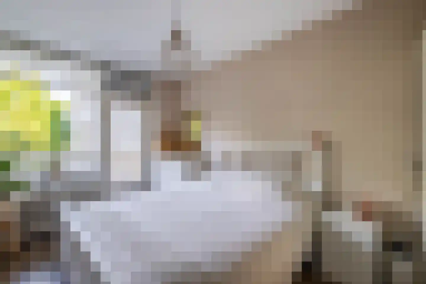de Koppele 651 Eindhoven thumbnail 26