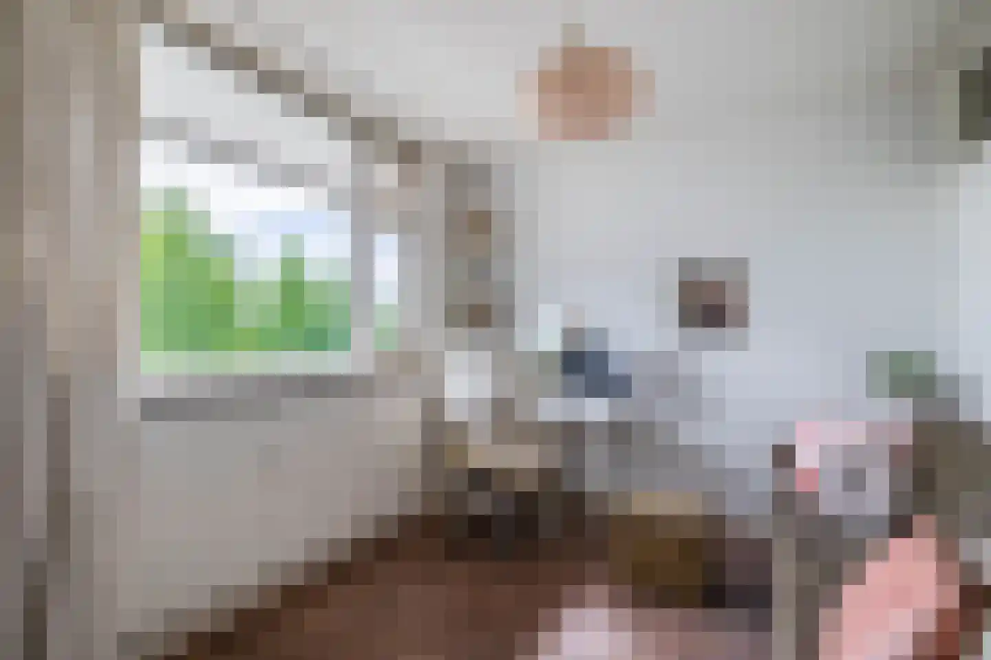 de Koppele 651 Eindhoven thumbnail 30