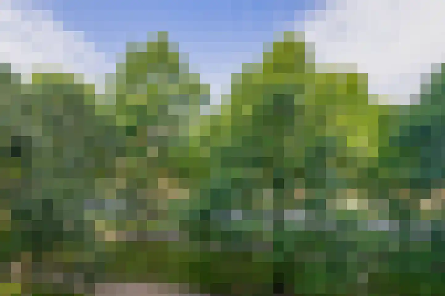 de Koppele 651 Eindhoven thumbnail 36