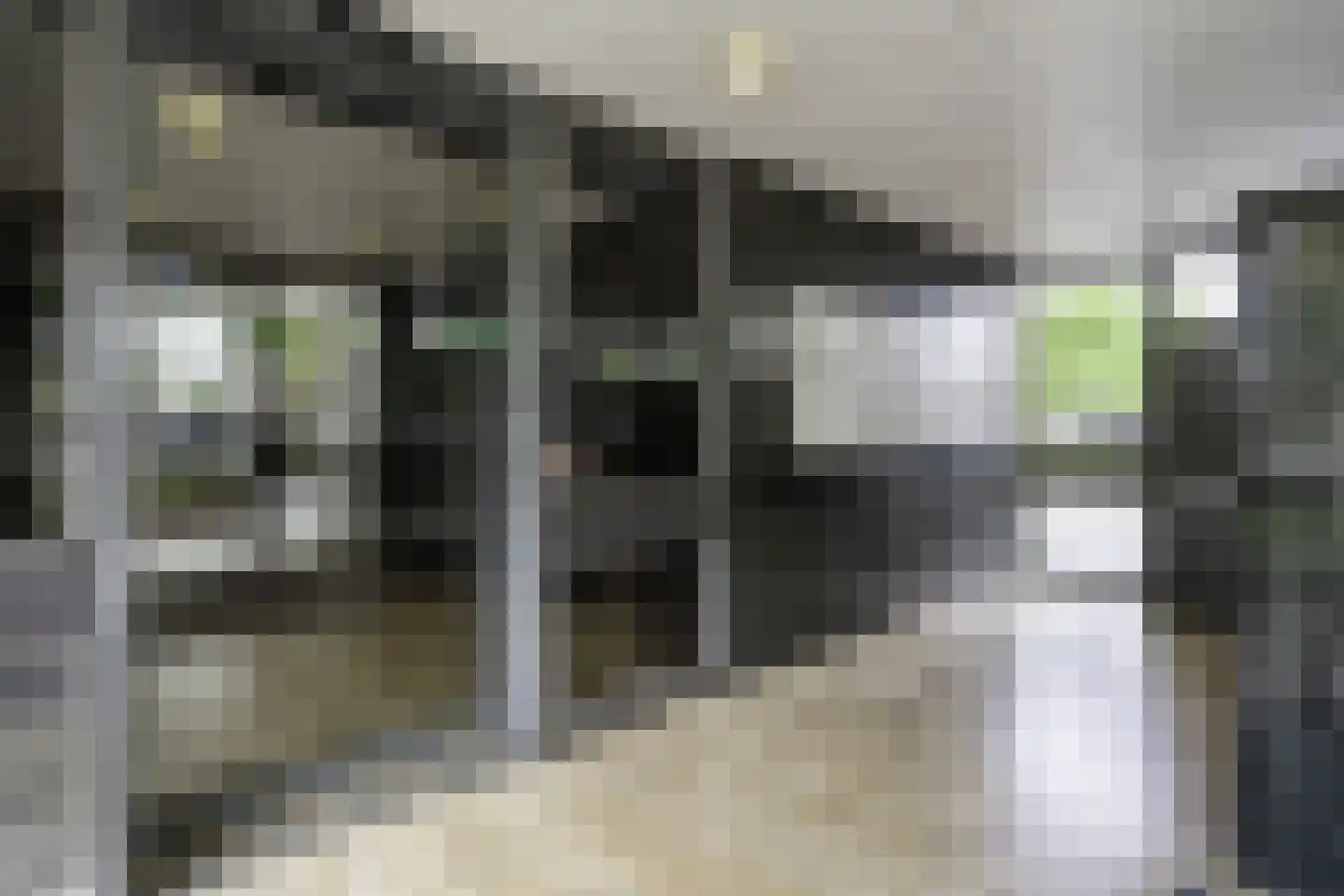 de Koppele 659 Eindhoven thumbnail 11