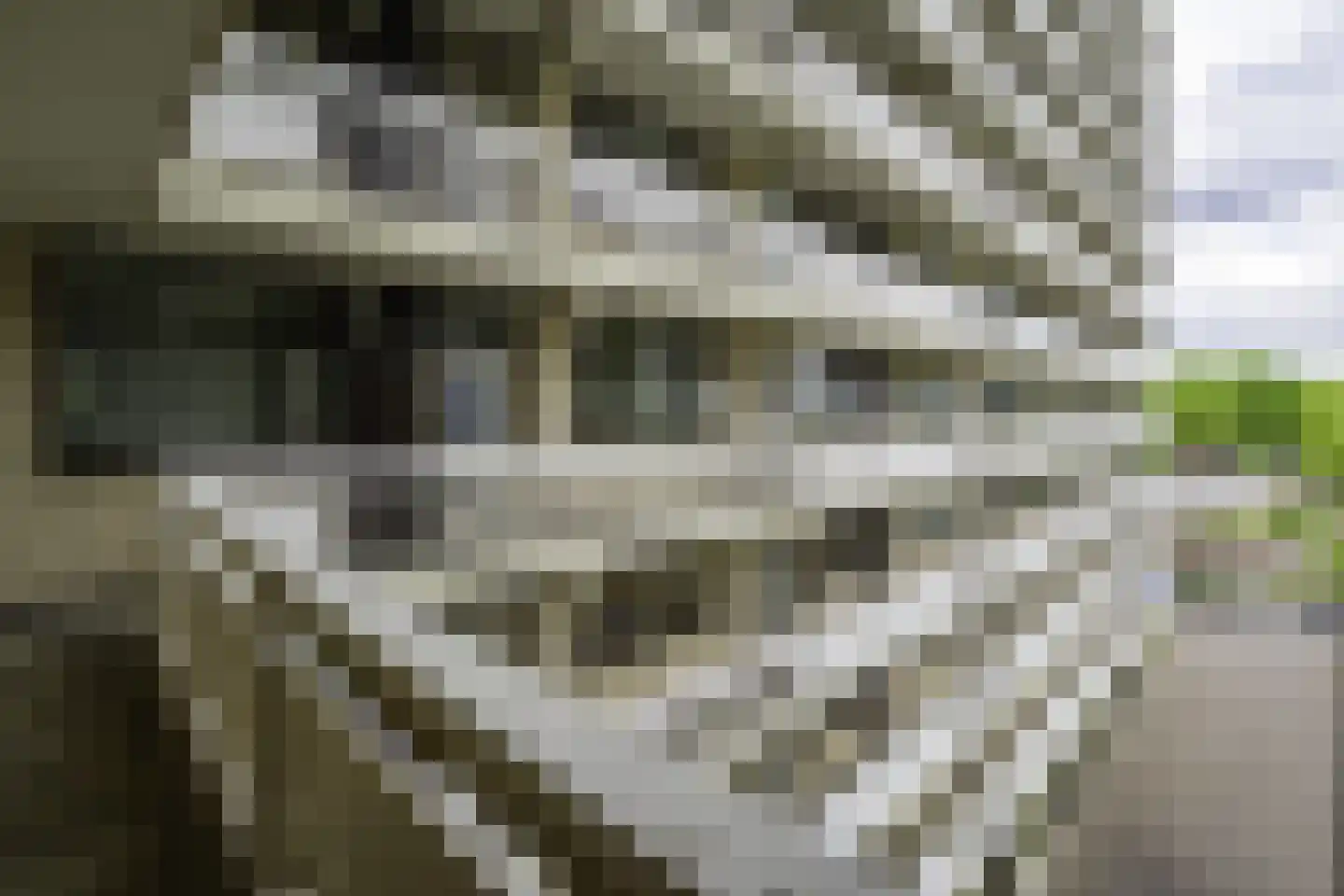 de Koppele 659 Eindhoven thumbnail 15