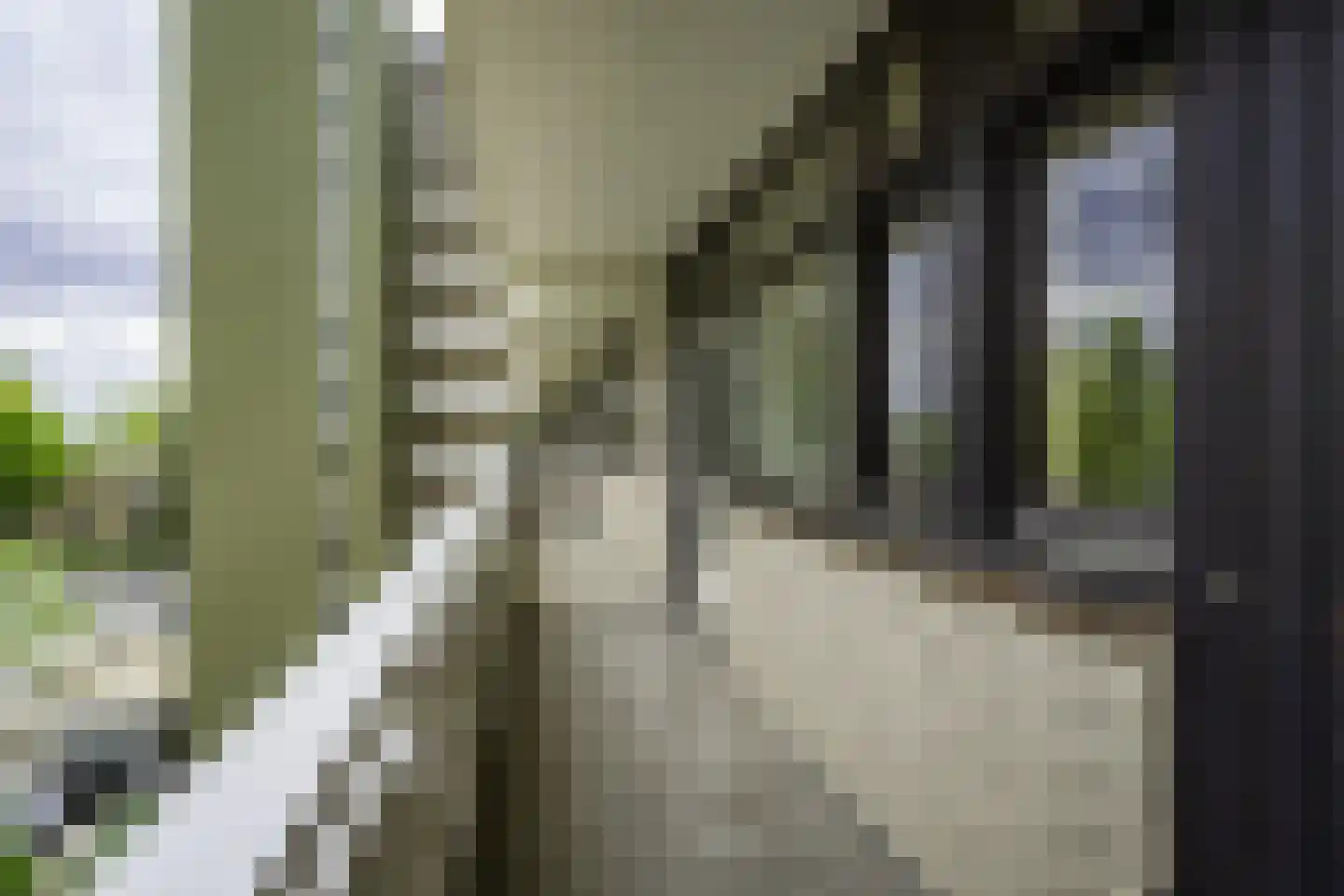 de Koppele 659 Eindhoven thumbnail 17