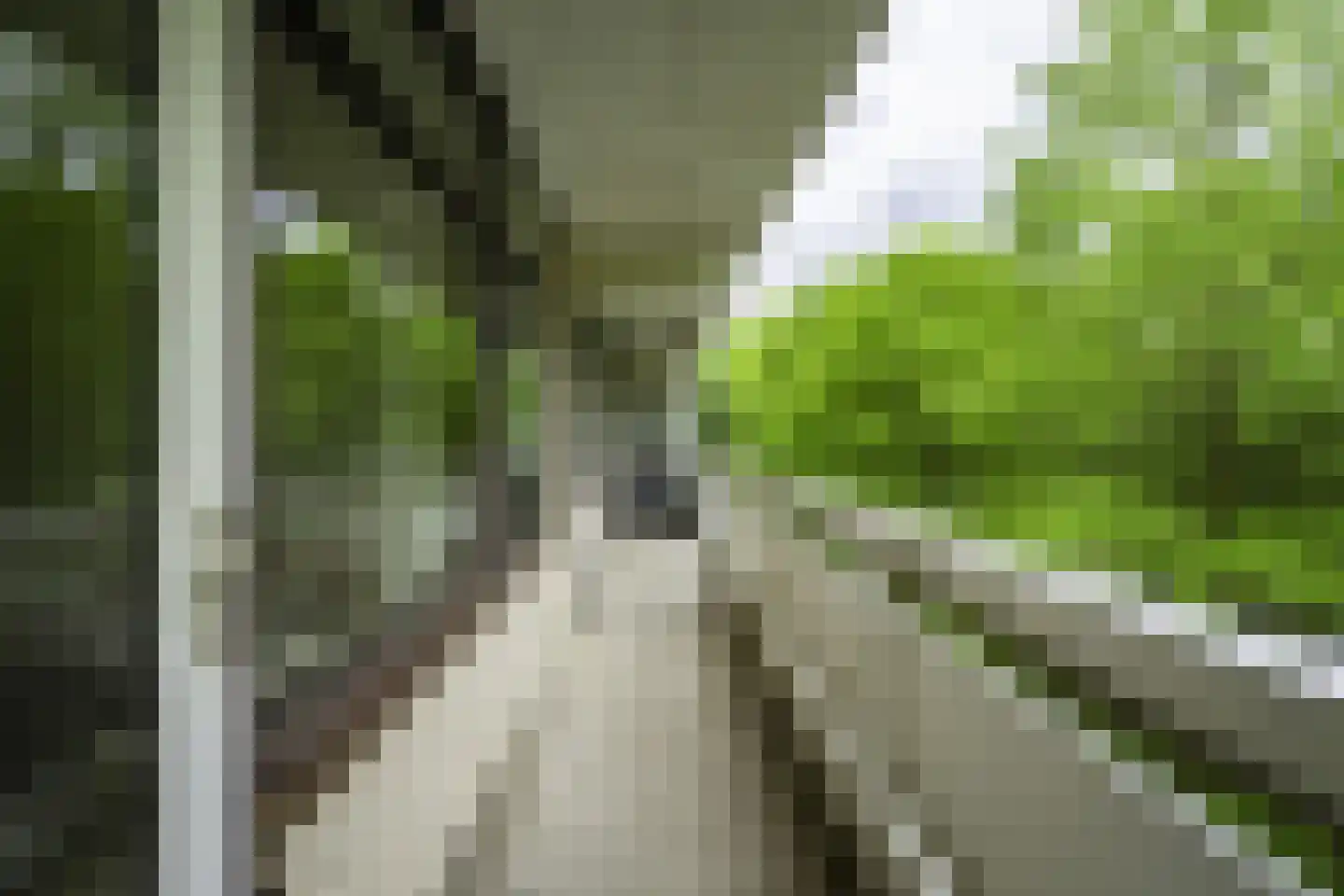de Koppele 659 Eindhoven thumbnail 18
