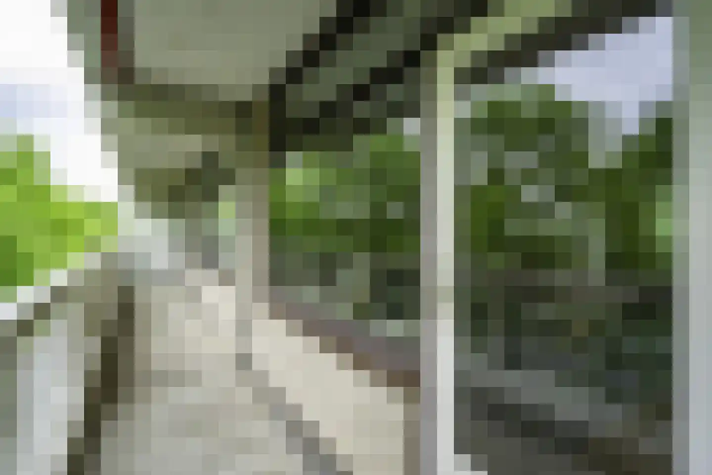 de Koppele 659 Eindhoven thumbnail 19