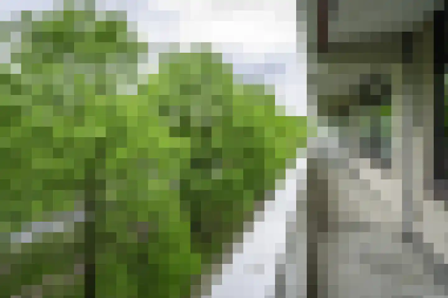 de Koppele 659 Eindhoven thumbnail 20