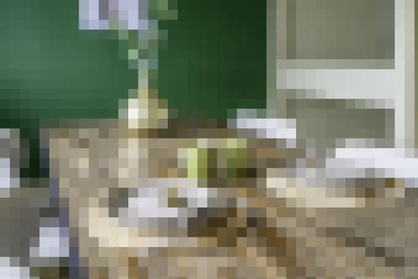 de Koppele 659 Eindhoven thumbnail 25