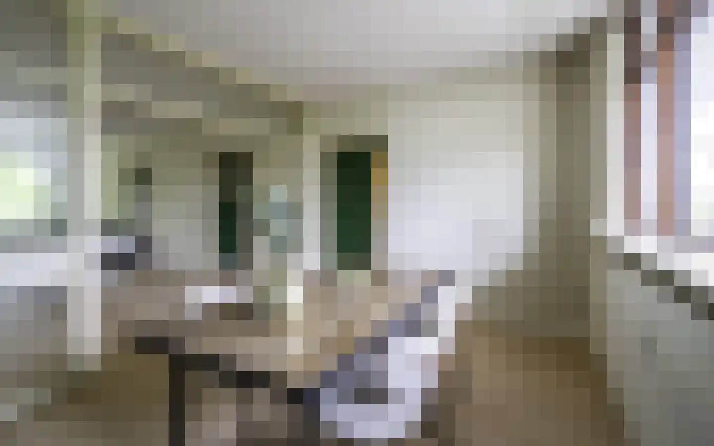 de Koppele 659 Eindhoven thumbnail 26