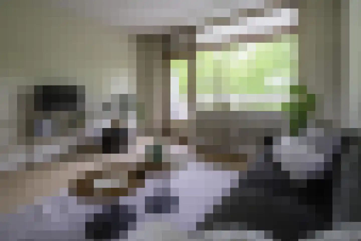 de Koppele 659 Eindhoven thumbnail 30
