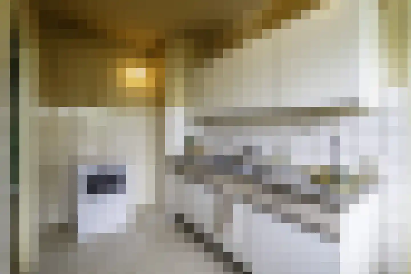 de Koppele 659 Eindhoven thumbnail 34
