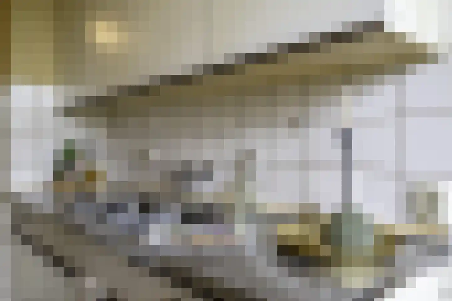 de Koppele 659 Eindhoven thumbnail 35