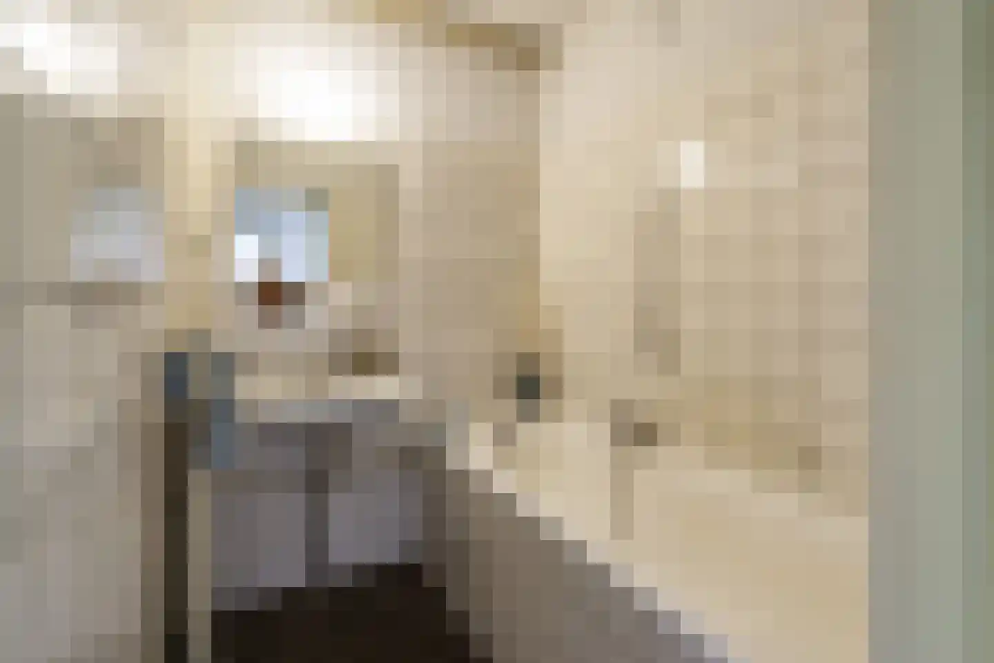 de Koppele 659 Eindhoven thumbnail 40