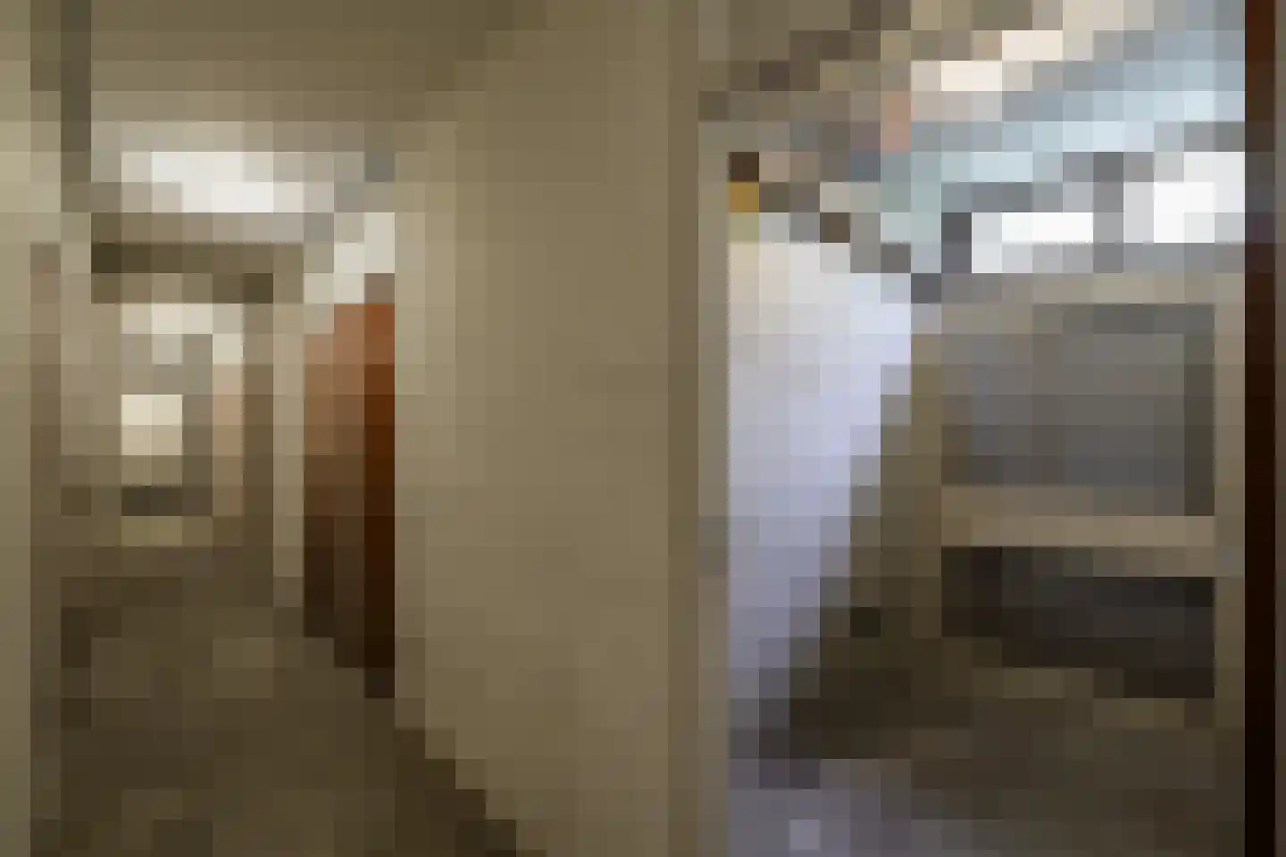 de Koppele 659 Eindhoven thumbnail 45