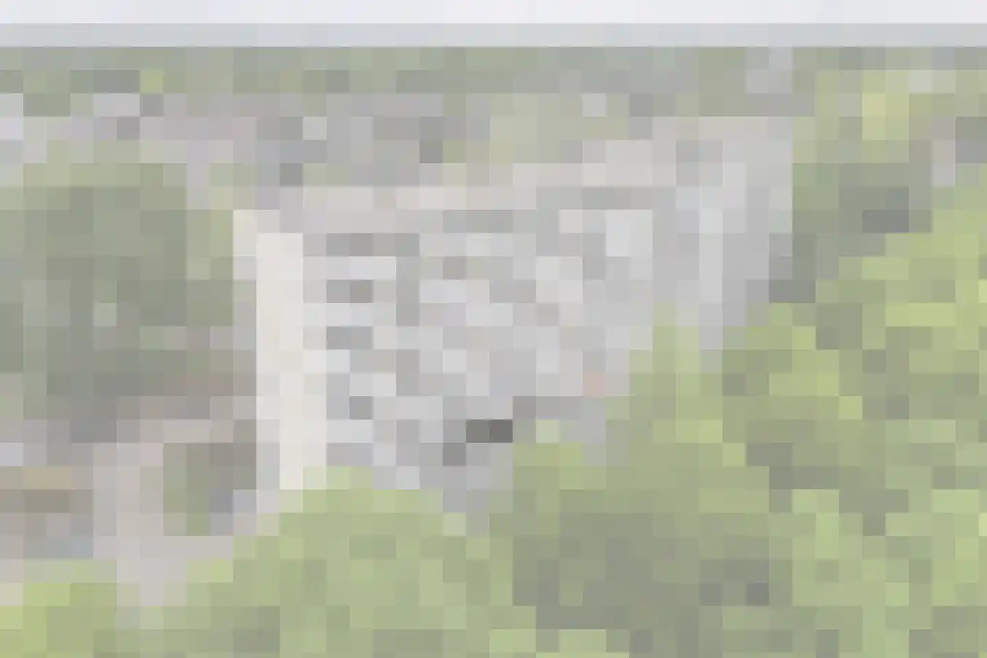 de Koppele 659 Eindhoven thumbnail 47