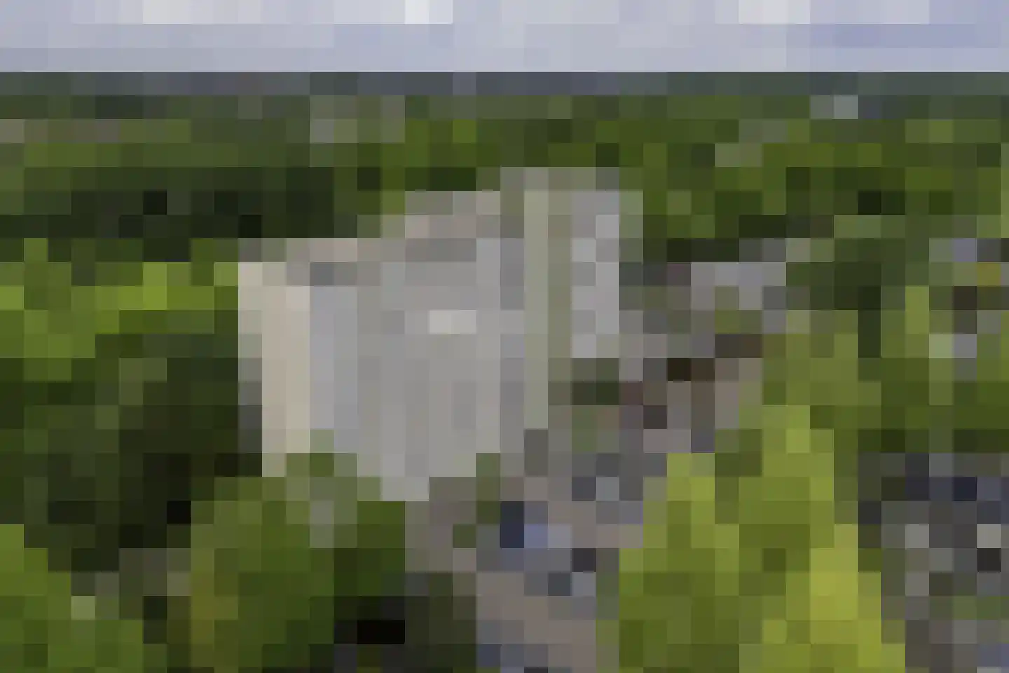 de Koppele 659 Eindhoven thumbnail 57