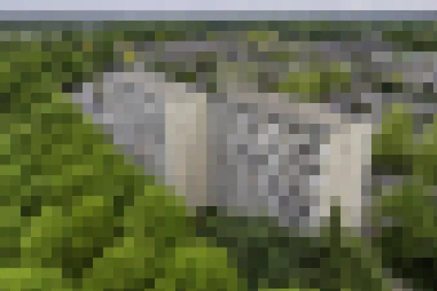 de Koppele 659 Eindhoven thumbnail 58