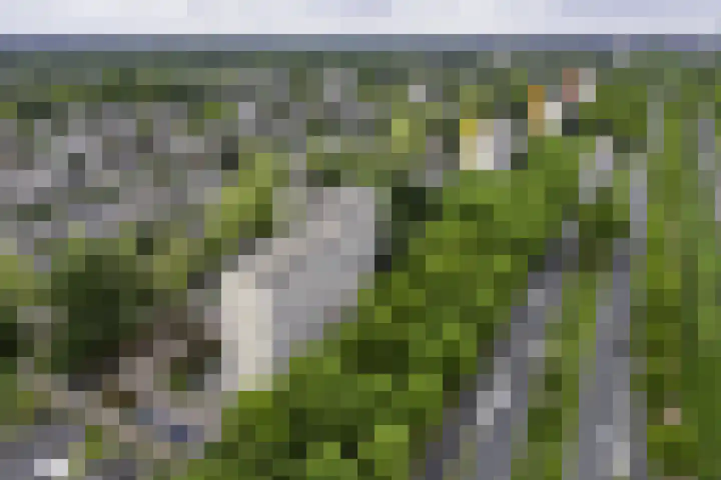 de Koppele 659 Eindhoven thumbnail 60