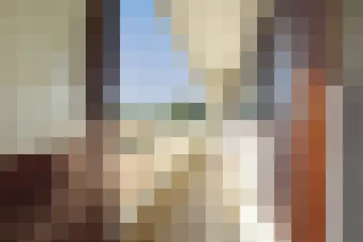 de Koppele 663 Eindhoven foto 2