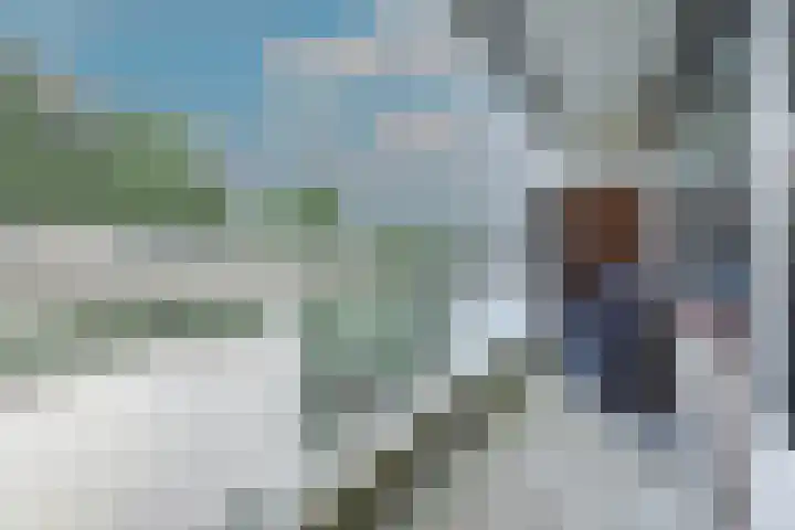 de Koppele 663 Eindhoven thumbnail 5