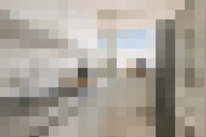 de Koppele 71 Eindhoven thumbnail 12
