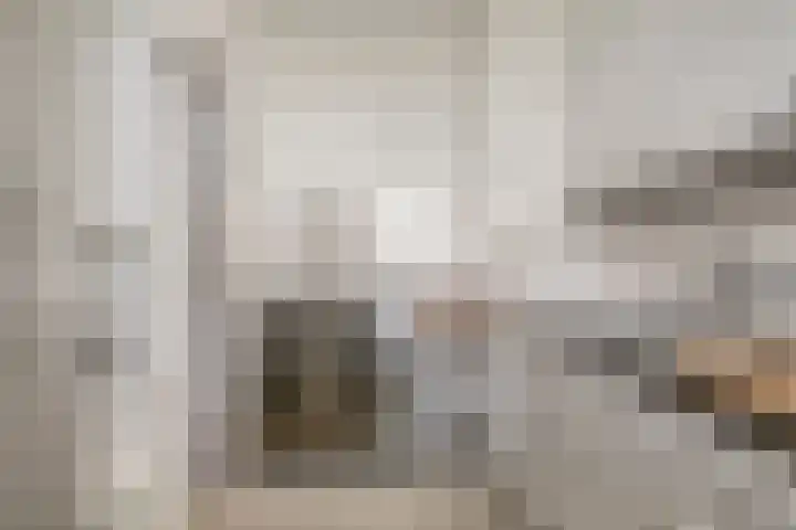 de Koppele 71 Eindhoven thumbnail 13