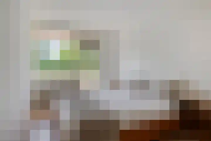 de Koppele 71 Eindhoven thumbnail 15