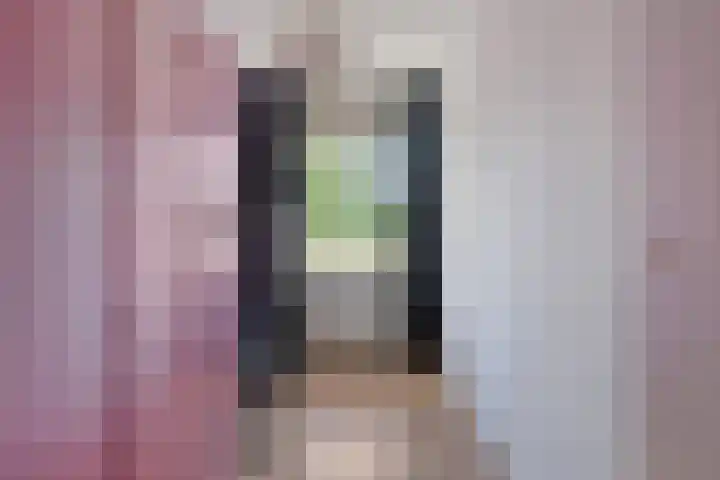 de Koppele 71 Eindhoven thumbnail 17