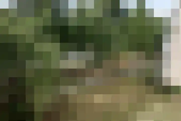 de Koppele 71 Eindhoven thumbnail 22