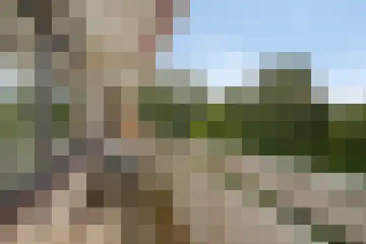 de Koppele 71 Eindhoven thumbnail 23