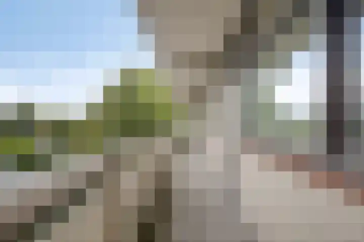 de Koppele 71 Eindhoven thumbnail 24
