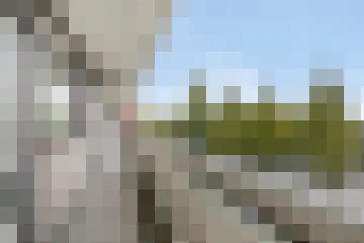 de Koppele 71 Eindhoven thumbnail 25