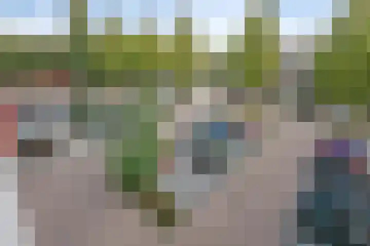 de Koppele 71 Eindhoven thumbnail 26