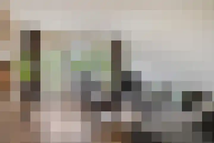 de Koppele 71 Eindhoven thumbnail 8