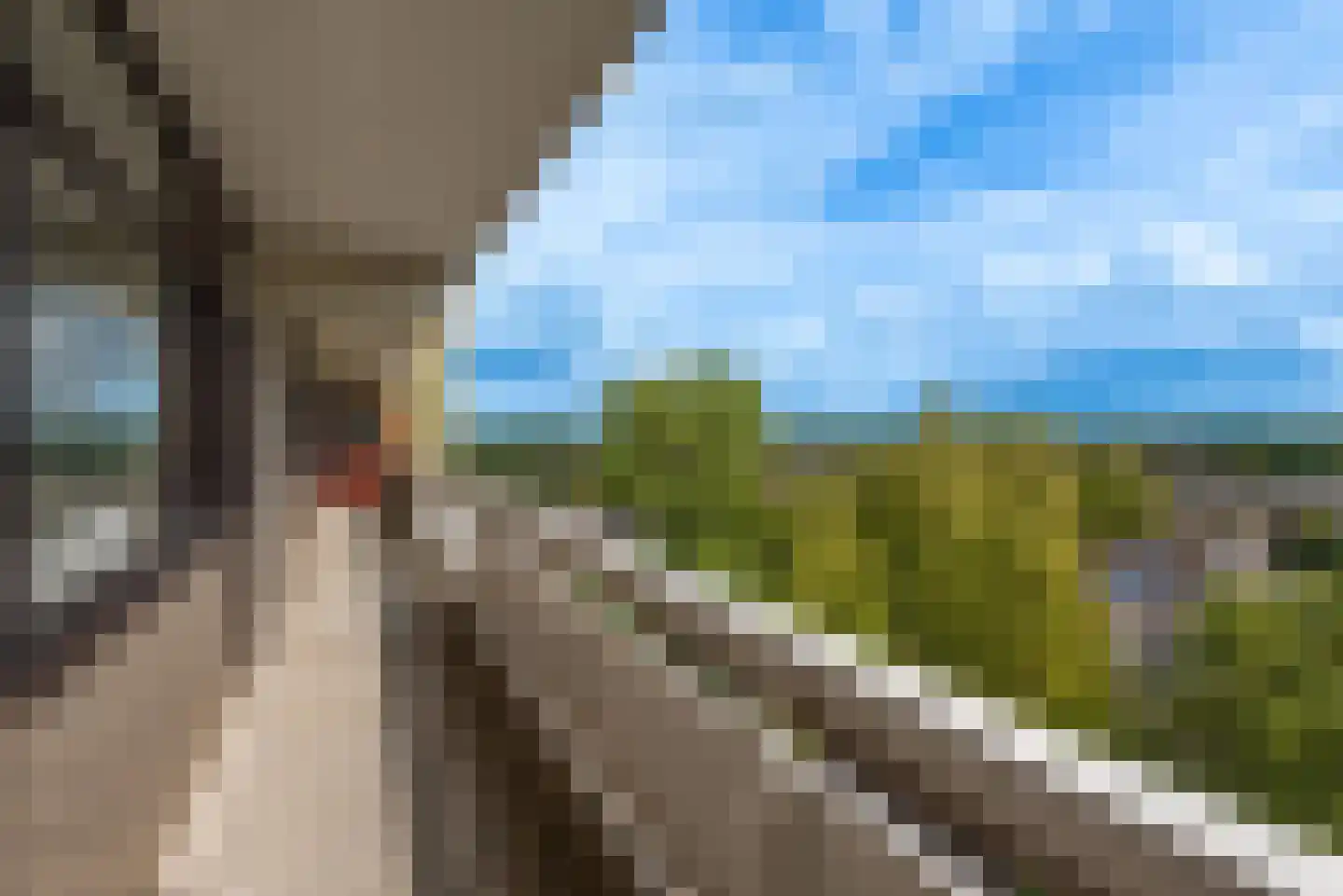 de Koppele 721 Eindhoven thumbnail 15