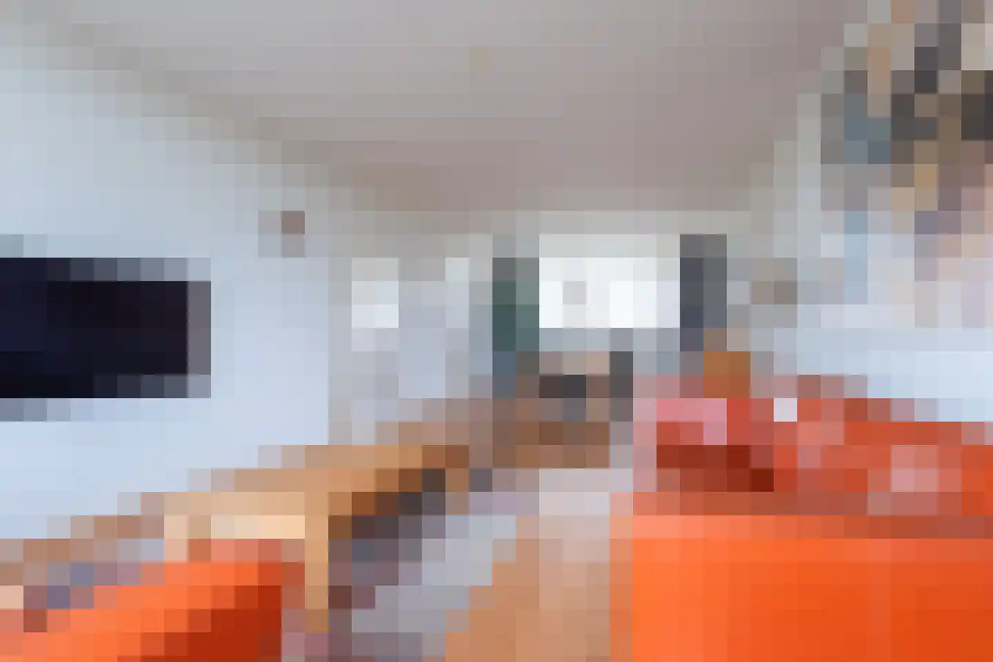de Koppele 721 Eindhoven thumbnail 34