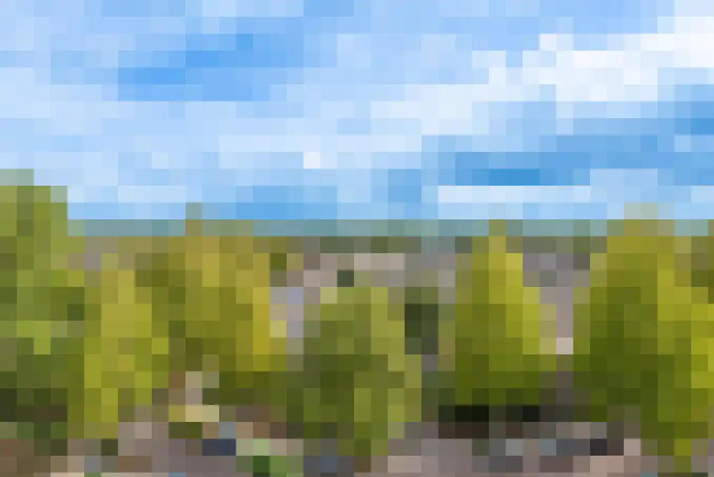 de Koppele 721 Eindhoven thumbnail 6