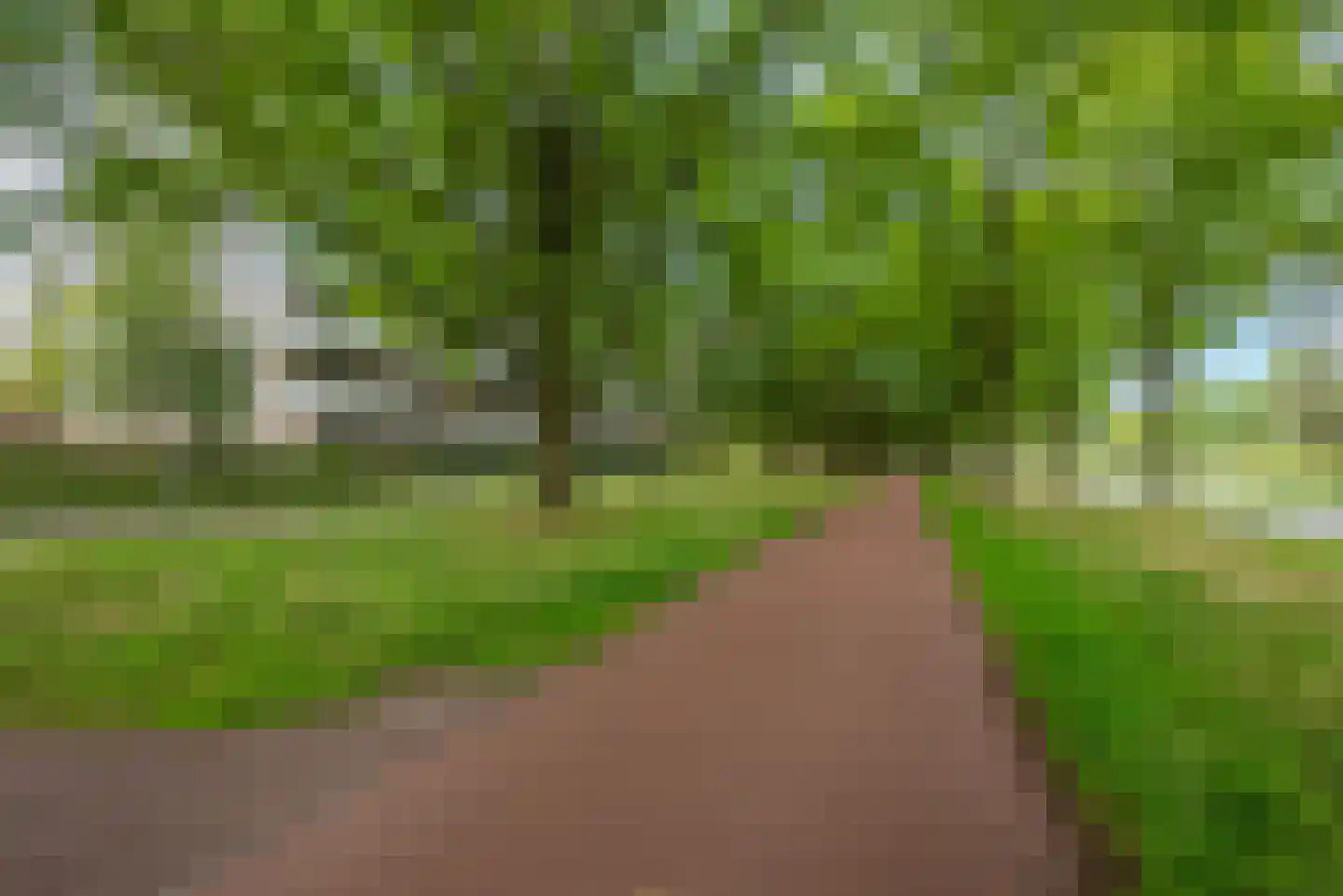 de Koppele 721 Eindhoven thumbnail 61