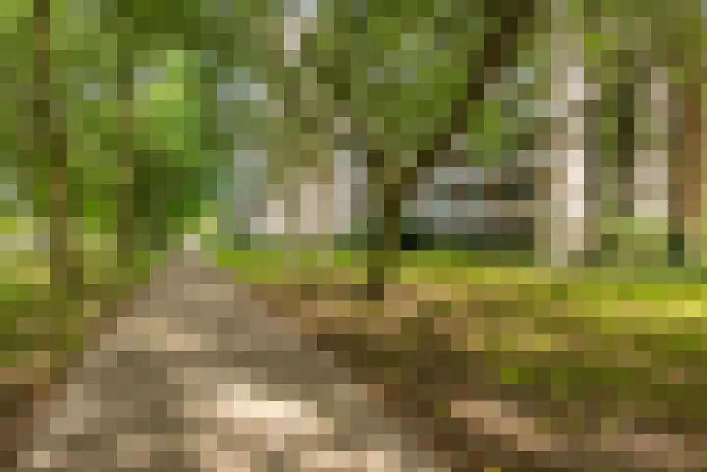 de Koppele 721 Eindhoven thumbnail 62